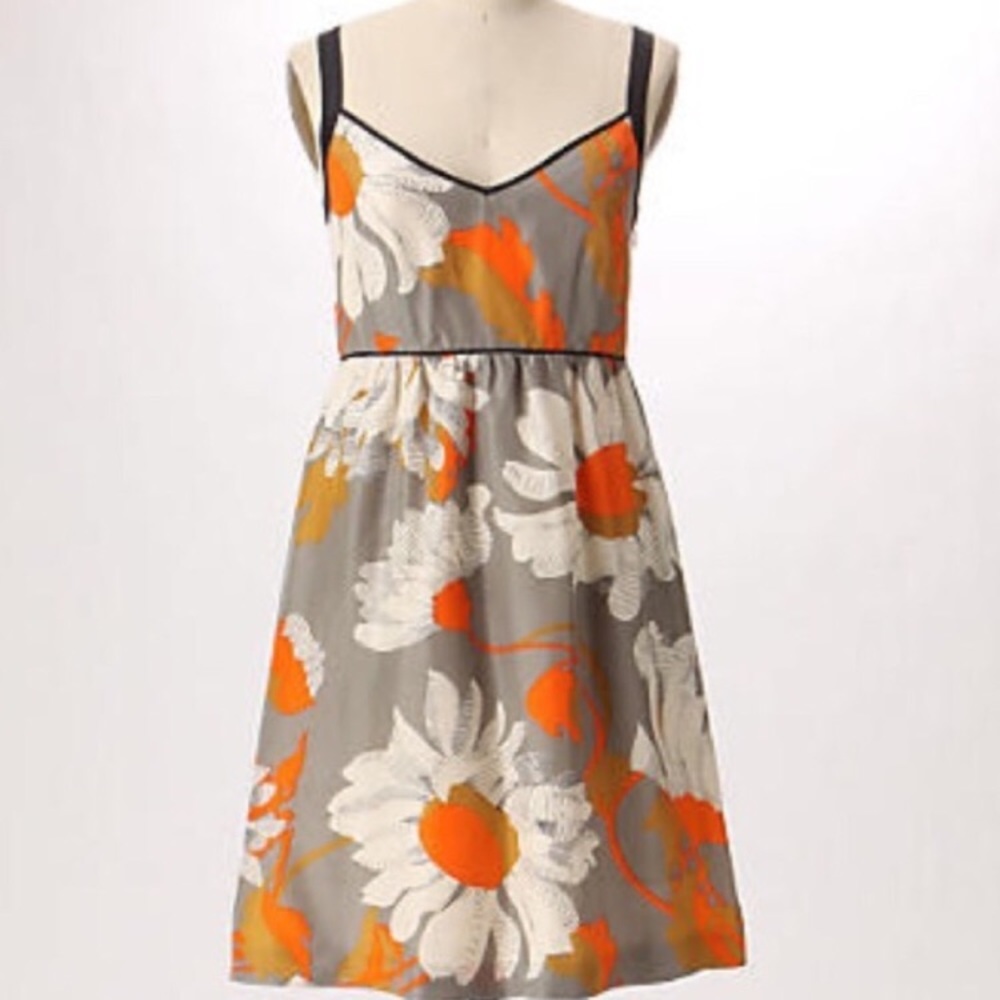 Anthropologie (Moulinette Soeurs) 100% Silk Dress